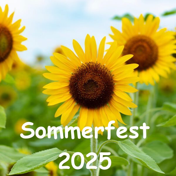 Impressionen vom Sommerfest